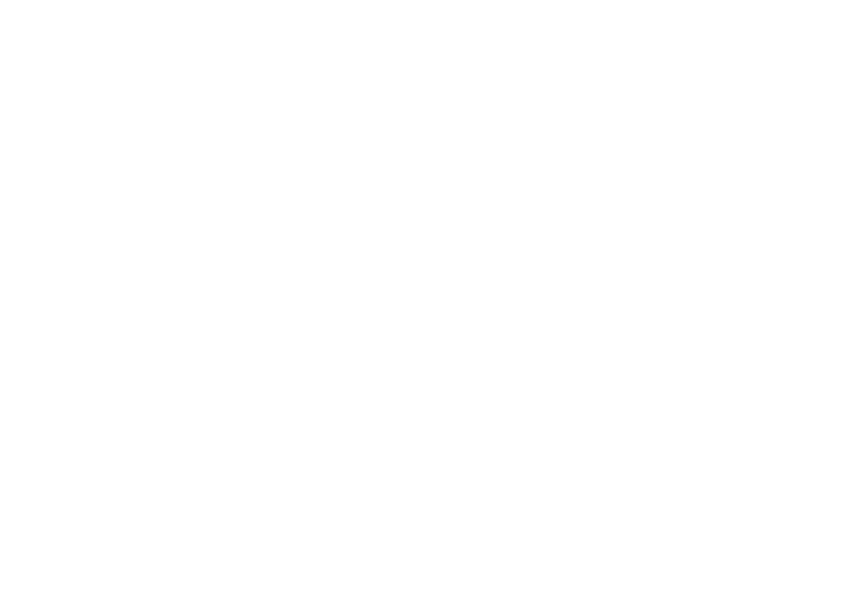 FAEVI